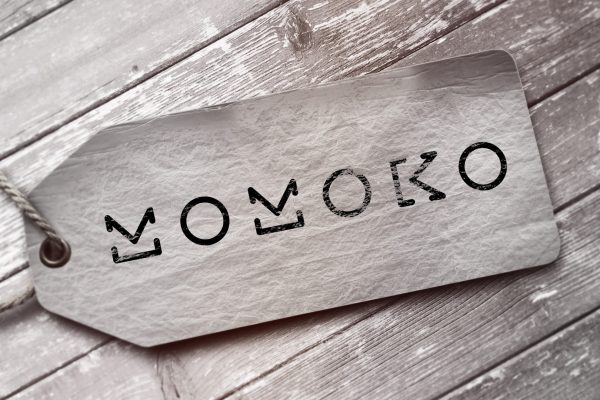 FLYP_DESIGN_N_MOTION_09-03-MOMOKO-logo-mockup