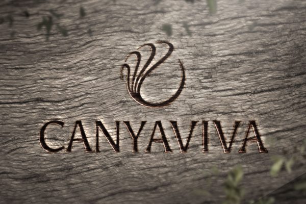 FLYP_DESIGN_N_MOTION_canyaviva_thumbnail_01-1920x1080